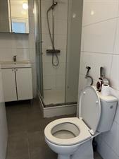 Room for rent 1000 euro Schiedamseweg, Rotterdam