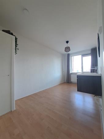 Zimmer bei Rivierenhof In Groningen