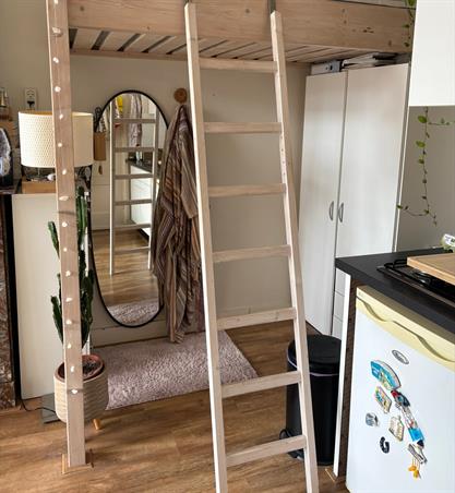 Zimmer bei Van Hamelstraat In Groningen