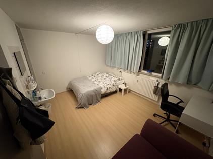 Room for rent 600 euro Obrechtstraat, Zwolle