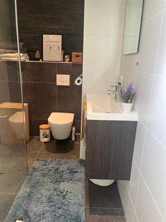 Zimmer bei Stadhoudersweg In Rotterdam