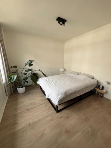 Room for rent 750 euro Geertsemastraat, Rotterdam