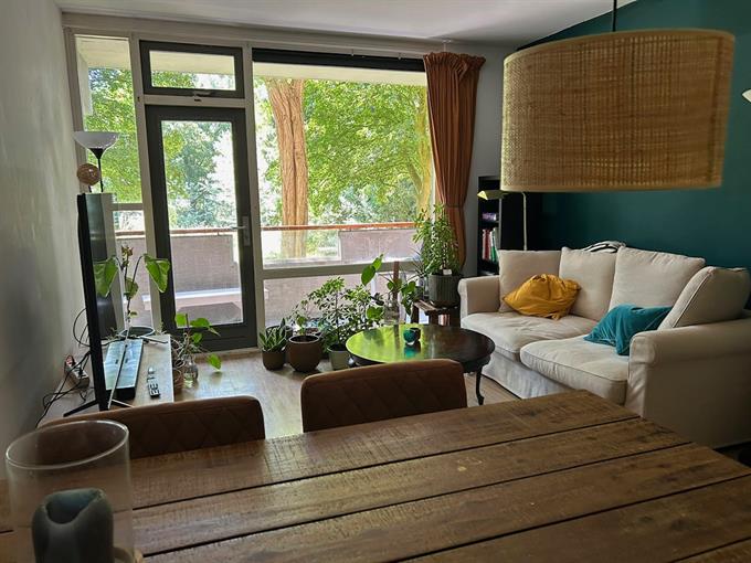 Kamer in Amsterdam, Kleiburg op Kamernet.nl: Kamer in gezellig appartement, 675 euro incl.