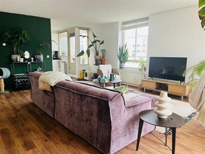 Kamer te huur 1000 euro Maliebaan, Amsterdam