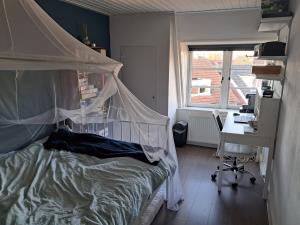 Room for rent 310 euro Anninksweg, Hengelo