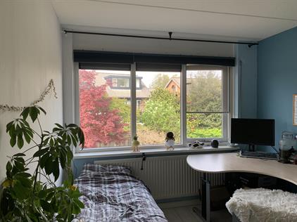Room for rent 400 euro Sientje van Houtenlaan, Enschede