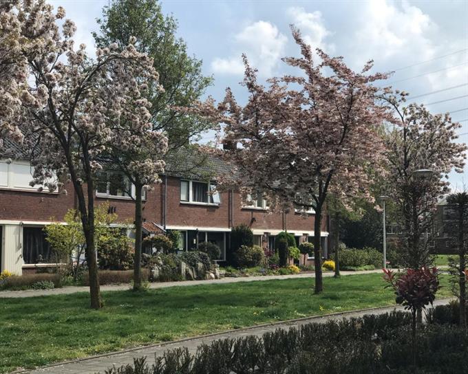 Kamer in Enschede, Toekomststraat op Kamernet.nl: Gemeubileerde kamer in Enschede nabij U. Twente