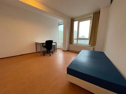Room for rent 479 euro Stadsbrink, Wageningen
