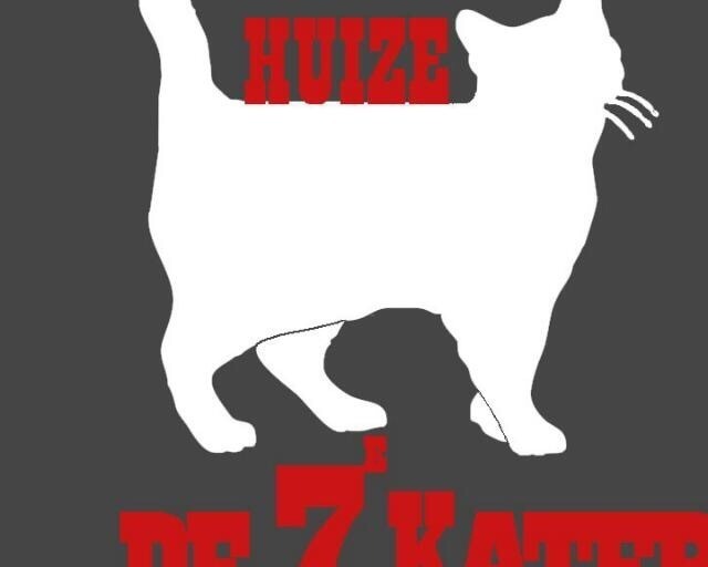 De 7e Kater