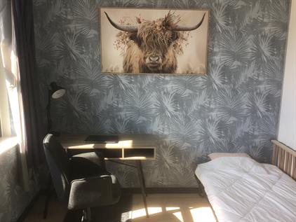 Kamer te huur 450 euro Industriestraat, Delft