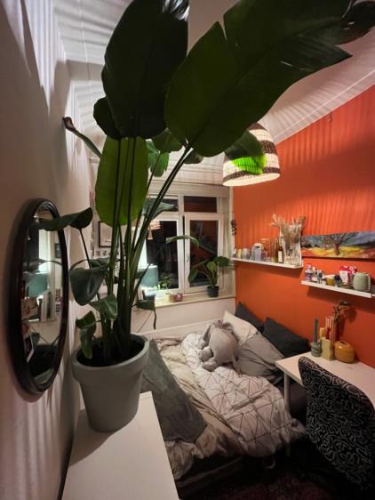 Kamer te huur 750 euro Chassestraat, Amsterdam