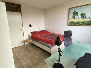 Apartment for rent 1550 euro Rode Kruislaan, Diemen