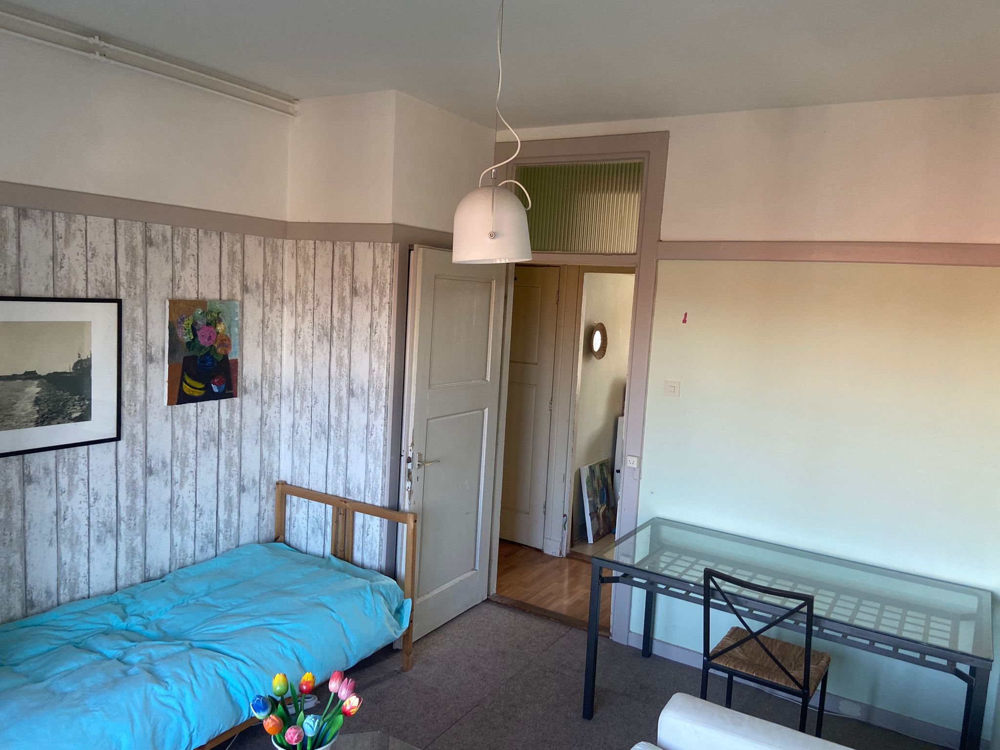 Cornelis Van Der Lindenstraat