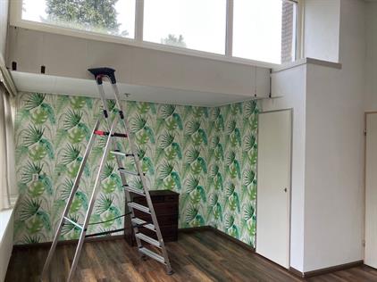 Zimmer zu vermieten 750 Euro Weezenhof, Nijmegen