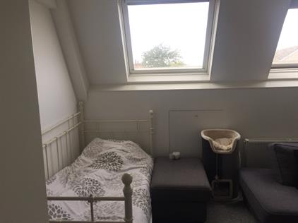 Studio te huur 800 euro Leliestraat, St. Willebrord