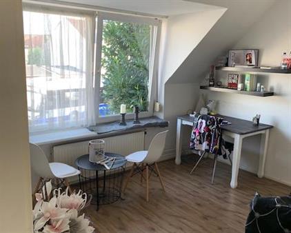 Room for rent 740 euro Dokter van Kleefstraat, Maastricht