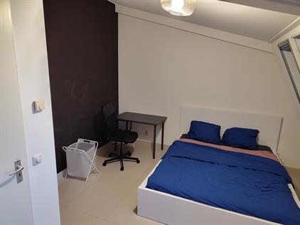 Room for rent 600 euro Zomertaling, Culemborg