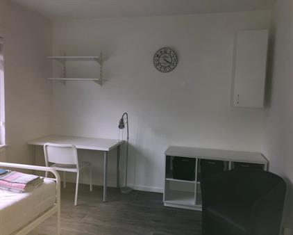 Room for rent 595 euro Samuel de Langestraat, Eindhoven