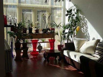 Room for rent 905 euro Valkenboslaan, Den Haag