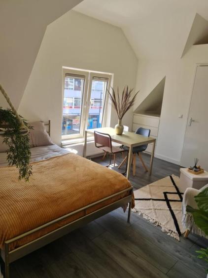 Kamer te huur 1350 euro Burgemeester Reigerstraat, Utrecht