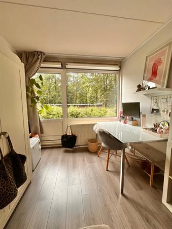 Zimmer bei Witbreuksweg In Enschede