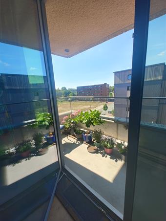 Zimmer bei Elzenhagensingel In Amsterdam