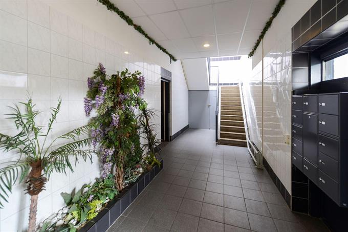 Zimmer bei Valkenpad In Leiden