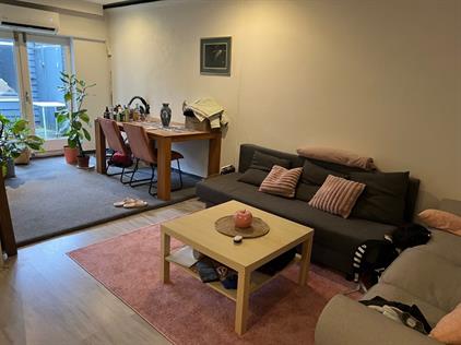 Apartment for rent 900 euro Pelikaanstraat, Tilburg