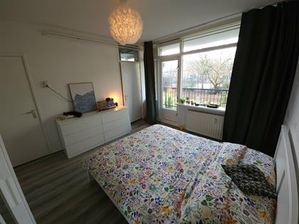 Room for rent 800 euro Epicurusstraat, Rotterdam