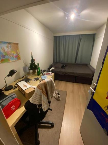 Room for rent 260 euro Calslaan, Enschede