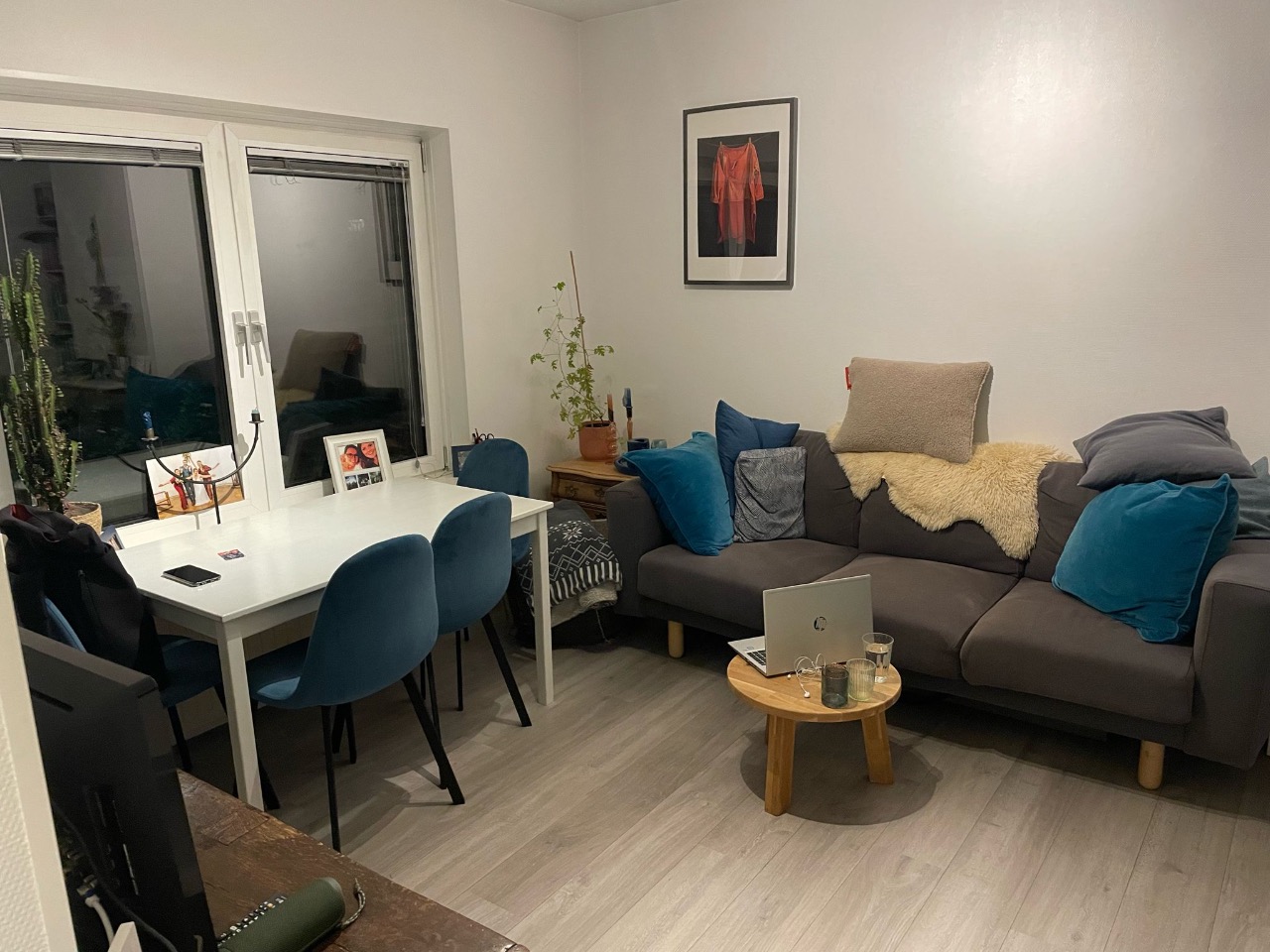 apartments for rent on Plesmanlaan