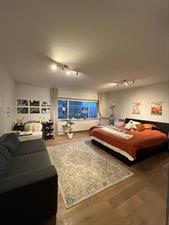 Room for rent 1058 euro Van Heenvlietlaan, Amsterdam