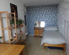 Room for rent 500 euro Teding van Berkhoutlaan, Delft