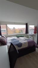Room for rent 618 euro Wassenaarseweg, Den Haag