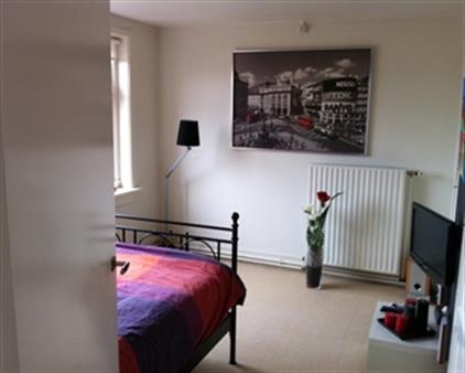 Room for rent 575 euro Van Starkenborghstraat, Groningen