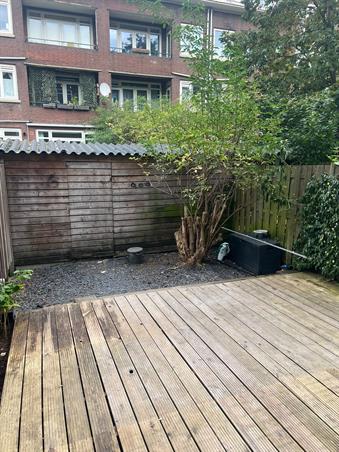 Zimmer bei Zweedsestraat In Rotterdam