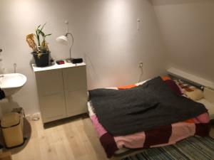 Room for rent 405 euro Van Bleyswijckstraat, Delft