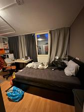 Room for rent 425 euro Turkooisstraat, Groningen