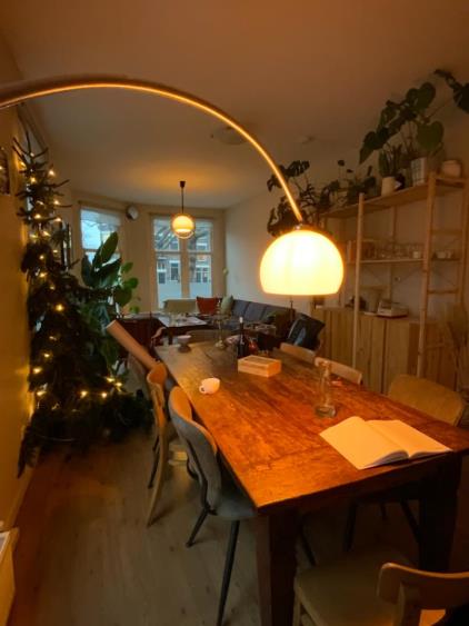 Room for rent 657 euro Mathenesserlaan, Rotterdam