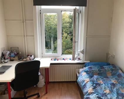 Room for rent 480 euro Fransestraat, Nijmegen