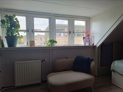 Room for rent 475 euro Bospoort, Ede