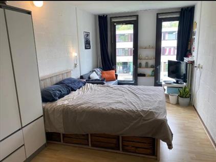 Room for rent 420 euro Calslaan, Enschede
