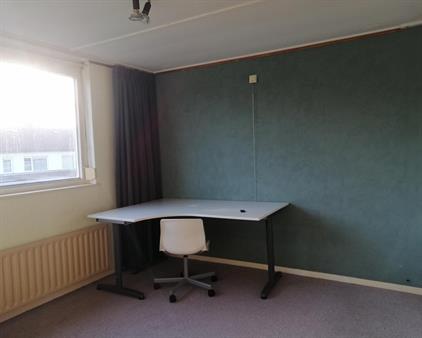 Kamer te huur 430 euro Titus Brandsmastraat, Velp-Rheden