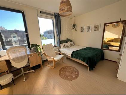 Room for rent 494 euro Rijnveste, Wageningen