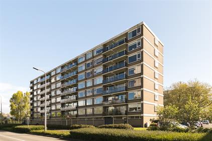 Room for rent 550 euro Wilgenhoek, Capelle aan den IJssel