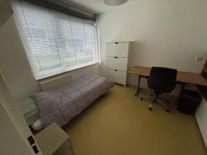 Kamer te huur 900 euro IJzerhof, Amsterdam