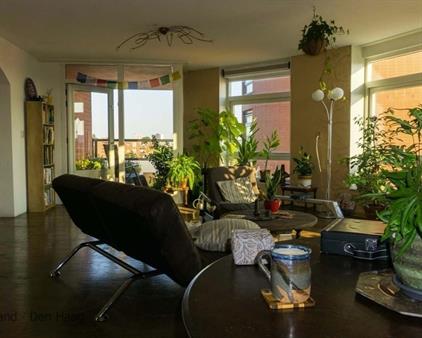 Room for rent 600 euro Paul Krugerlaan, Den Haag