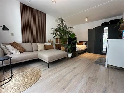 Room for rent 250 euro Braziliedreef, Utrecht