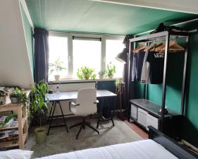 Kamer te huur 320 euro Briljantstraat, Groningen