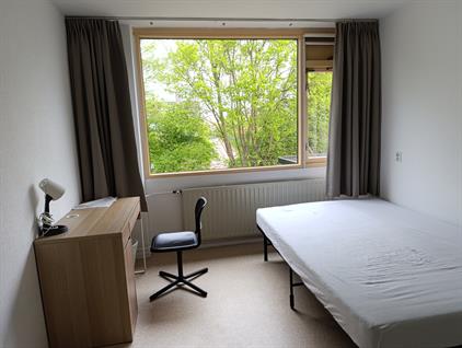 Room for rent 1050 euro Wilsonstraat, Hoofddorp